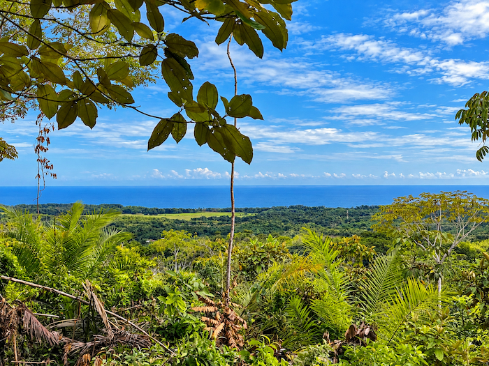 LAND WITH EXPANSIVE SEA VIEWS AND EASY YEAR-ROUND ACCESS, NEAR TO PARRITA