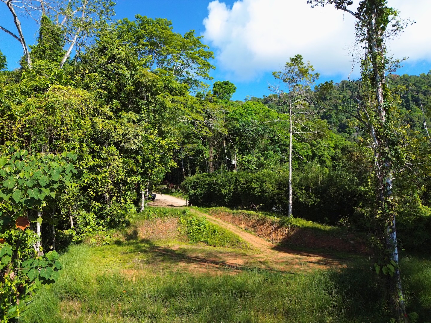 FLAT LAND WITH OCEAN VIEWS AND JUNGLE SURROUNDINGS, IN UVITA – 1.2 ACRES