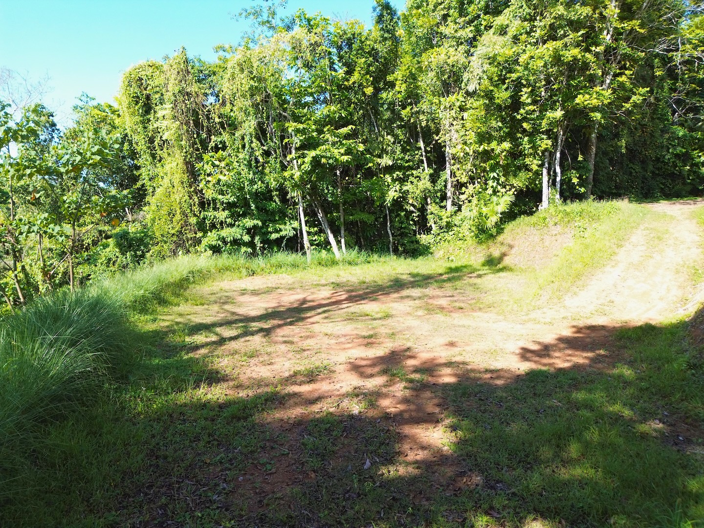 FLAT LAND WITH OCEAN VIEWS AND JUNGLE SURROUNDINGS, IN UVITA – 1.2 ACRES