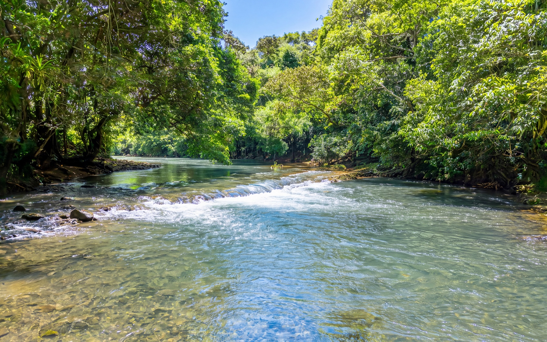 CABIN WITH DIRECT RIVER ACCESS AND PRIVATE BEACH NEAR DOMINICAL, IN PLATANILLO