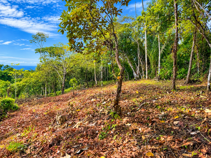 LAND WITH EXPANSIVE SEA VIEWS AND EASY YEAR-ROUND ACCESS, NEAR TO PARRITA