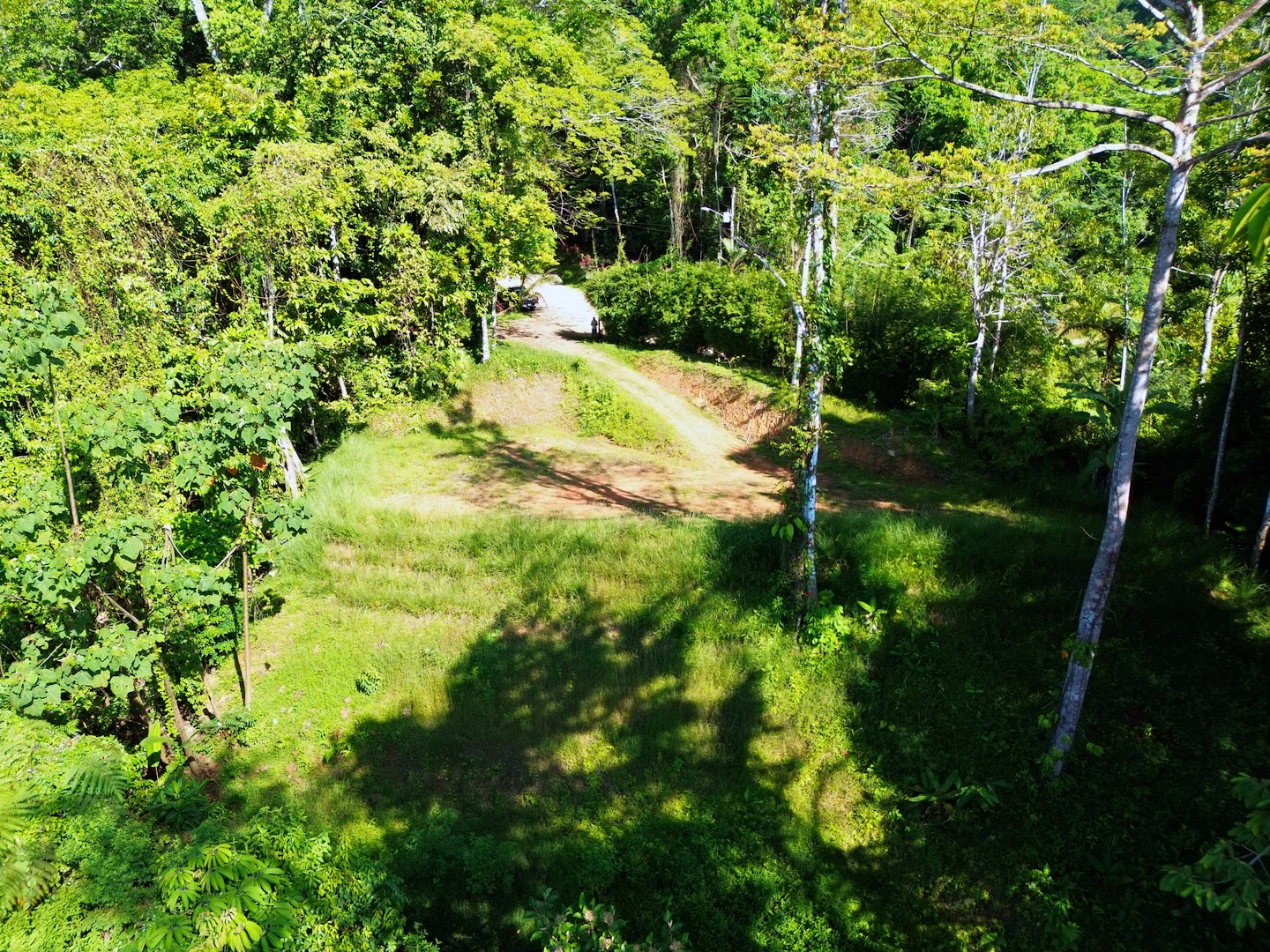 FLAT LAND WITH OCEAN VIEWS AND JUNGLE SURROUNDINGS, IN UVITA – 1.2 ACRES