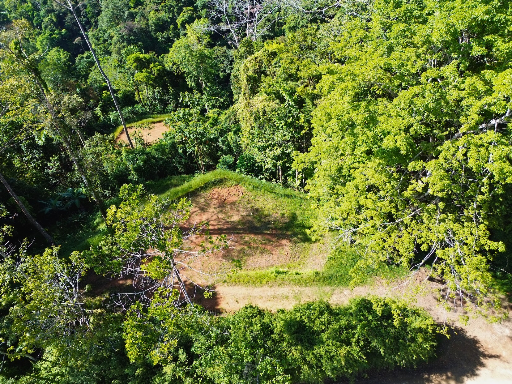 FLAT LAND WITH OCEAN VIEWS AND JUNGLE SURROUNDINGS, IN UVITA – 1.2 ACRES