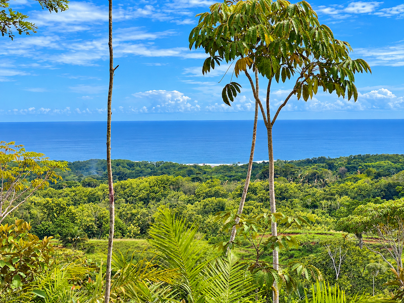 LAND WITH EXPANSIVE SEA VIEWS AND EASY YEAR-ROUND ACCESS, NEAR TO PARRITA