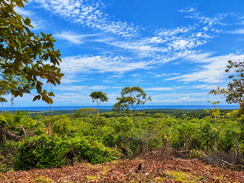 LAND WITH EXPANSIVE SEA VIEWS AND EASY YEAR-ROUND ACCESS, NEAR TO PARRITA