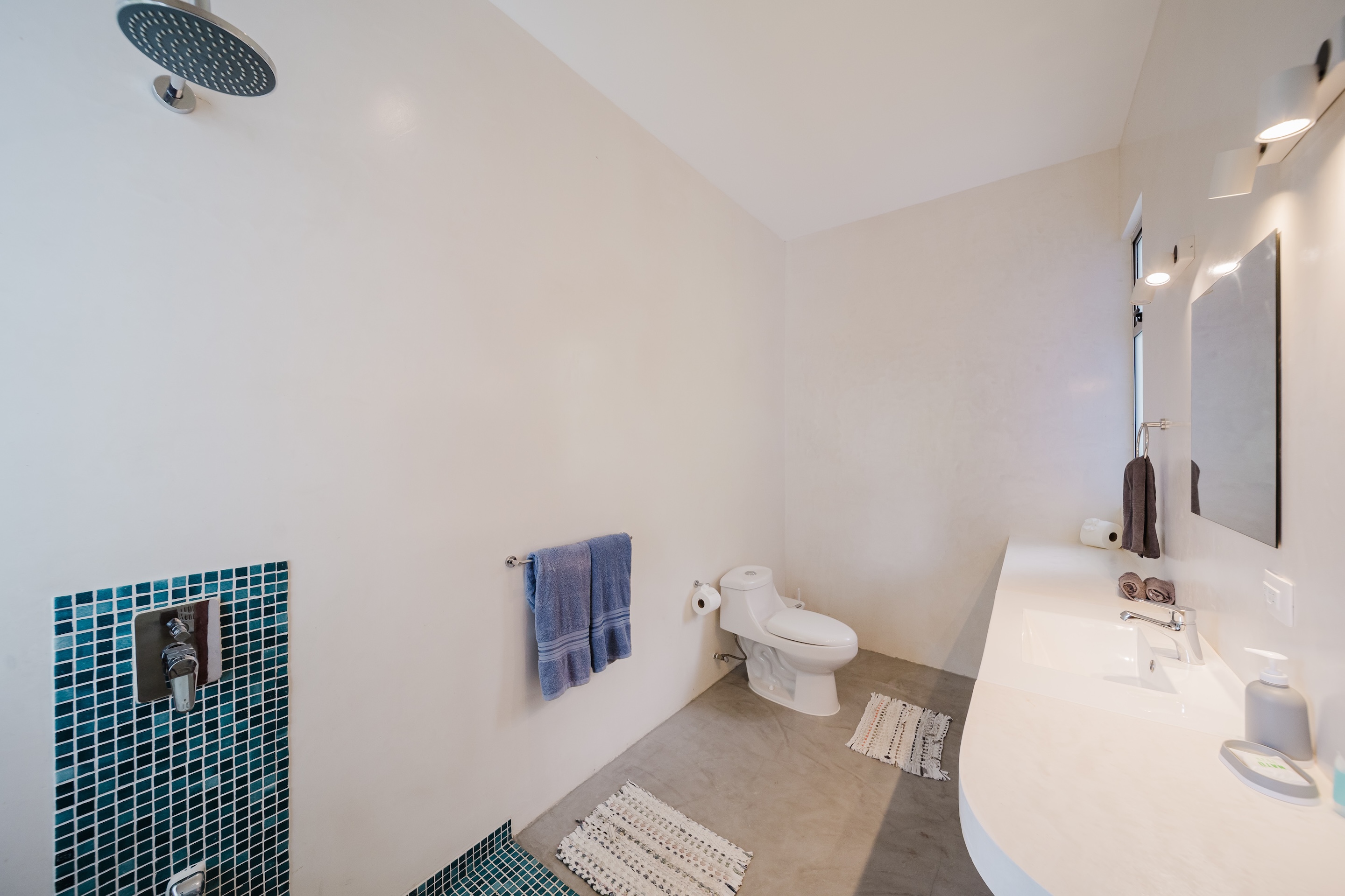 PRIVATE PROPERTY IN A GATED RESIDENTIAL COMMUNITY, SURROUNDED BY JUNGLE AND FEATURING THREE UNITS, IN MANUEL ANTONIO