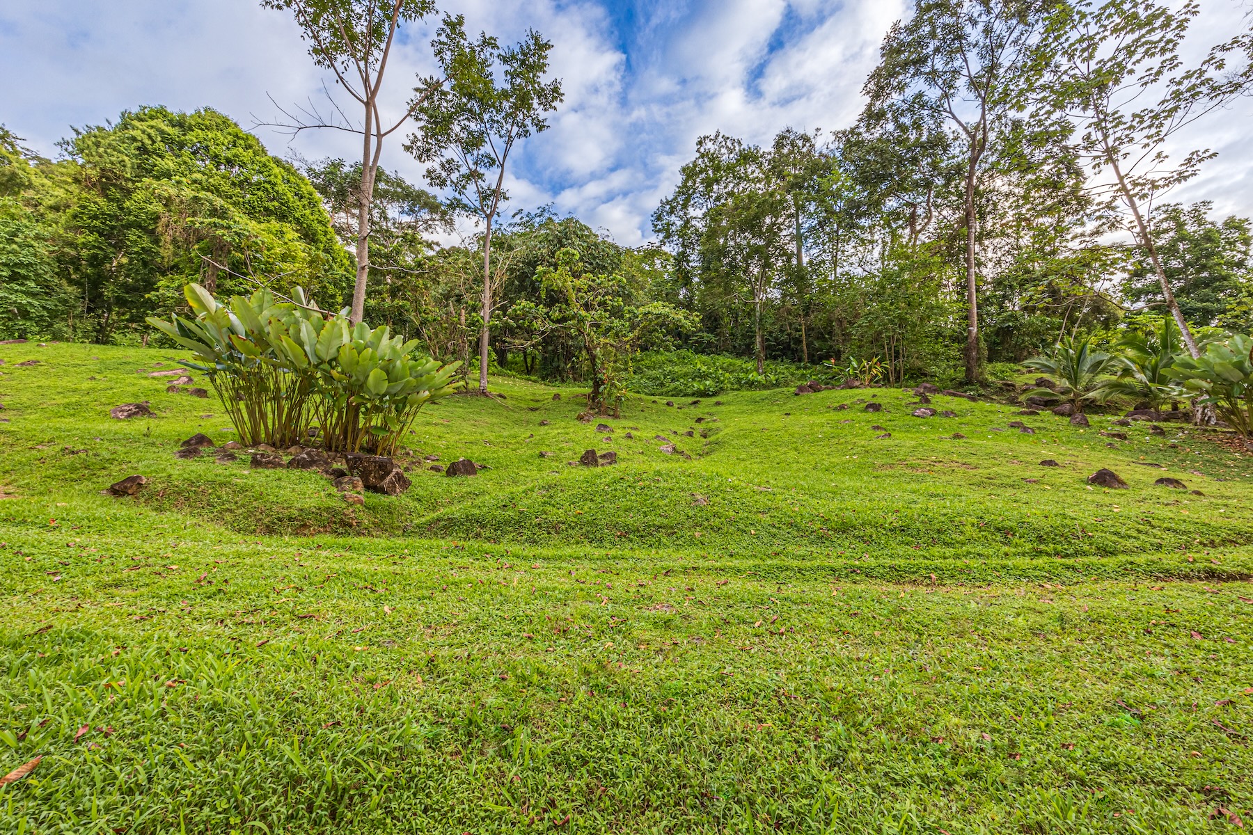 MOUNTAIN RETREAT WITH PANORAMIC OCEAN AND SUNSET VIEWS, NEAR UVITA – 12 ACRES