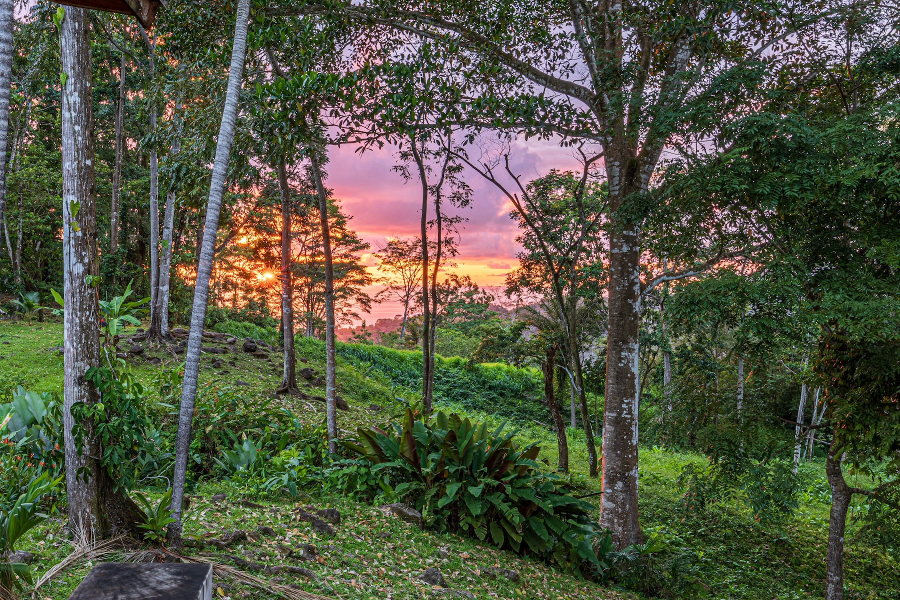 MOUNTAIN RETREAT WITH PANORAMIC OCEAN AND SUNSET VIEWS, NEAR UVITA – 12 ACRES