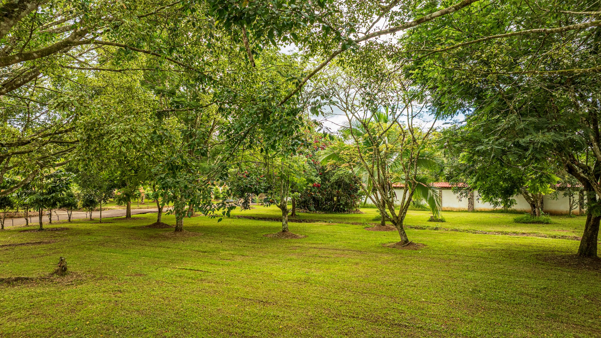 TWO-STORY FAMILY RESIDENCE WITH POOL AND EXPANSIVE GARDENS, IN PÉREZ ZELEDÓN – 4.58 ACRES