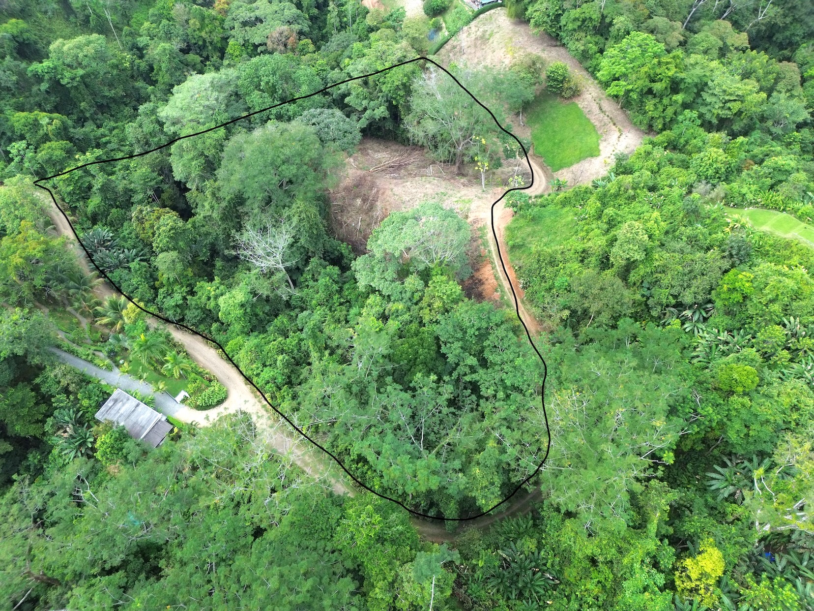 PRIVATE LAND SURROUNDED BY JUNGLE BETWEEN UVITA AND OJOCHAL – 3.07 ACRES