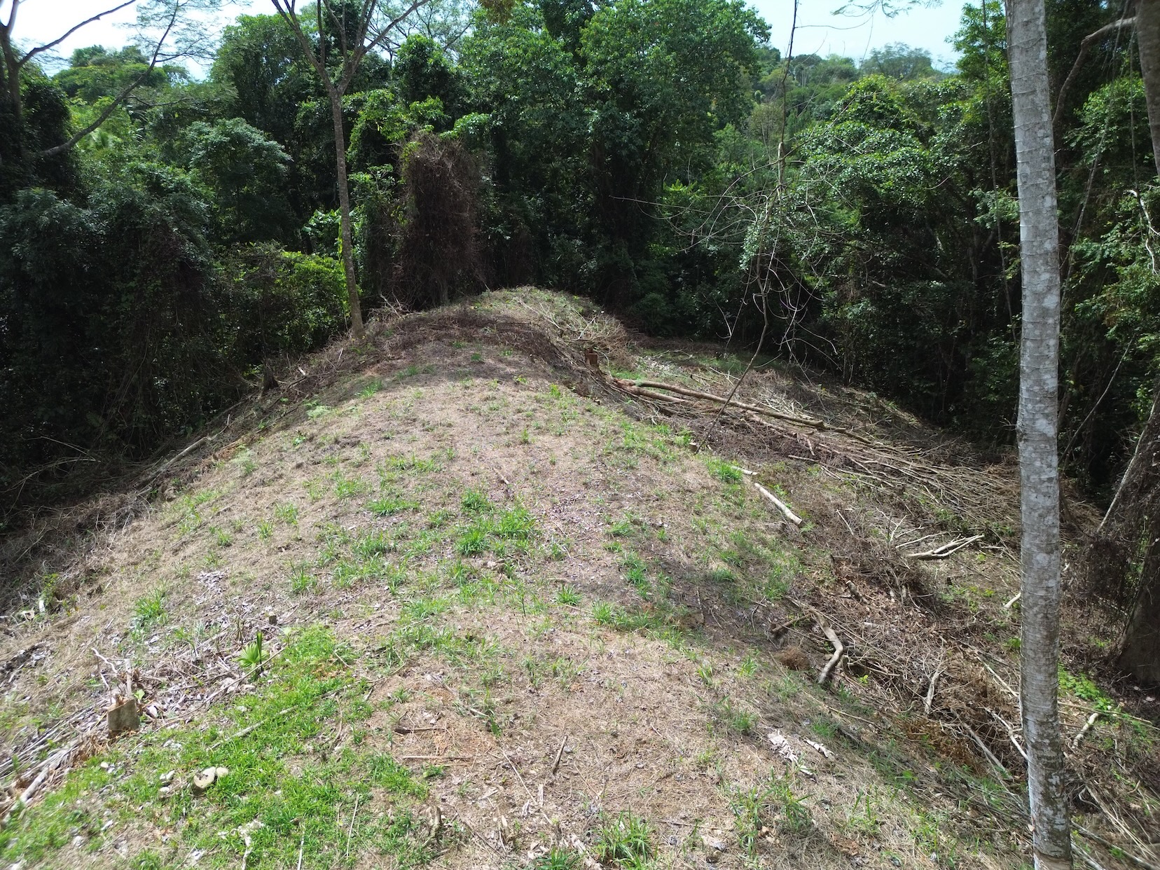 PRIVATE LAND SURROUNDED BY JUNGLE BETWEEN UVITA AND OJOCHAL – 3.07 ACRES