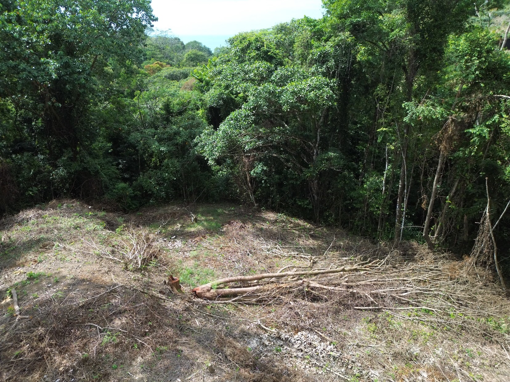 PRIVATE LAND SURROUNDED BY JUNGLE BETWEEN UVITA AND OJOCHAL – 3.07 ACRES