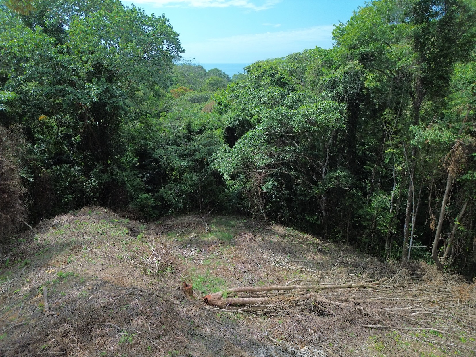 PRIVATE LAND SURROUNDED BY JUNGLE BETWEEN UVITA AND OJOCHAL – 3.07 ACRES