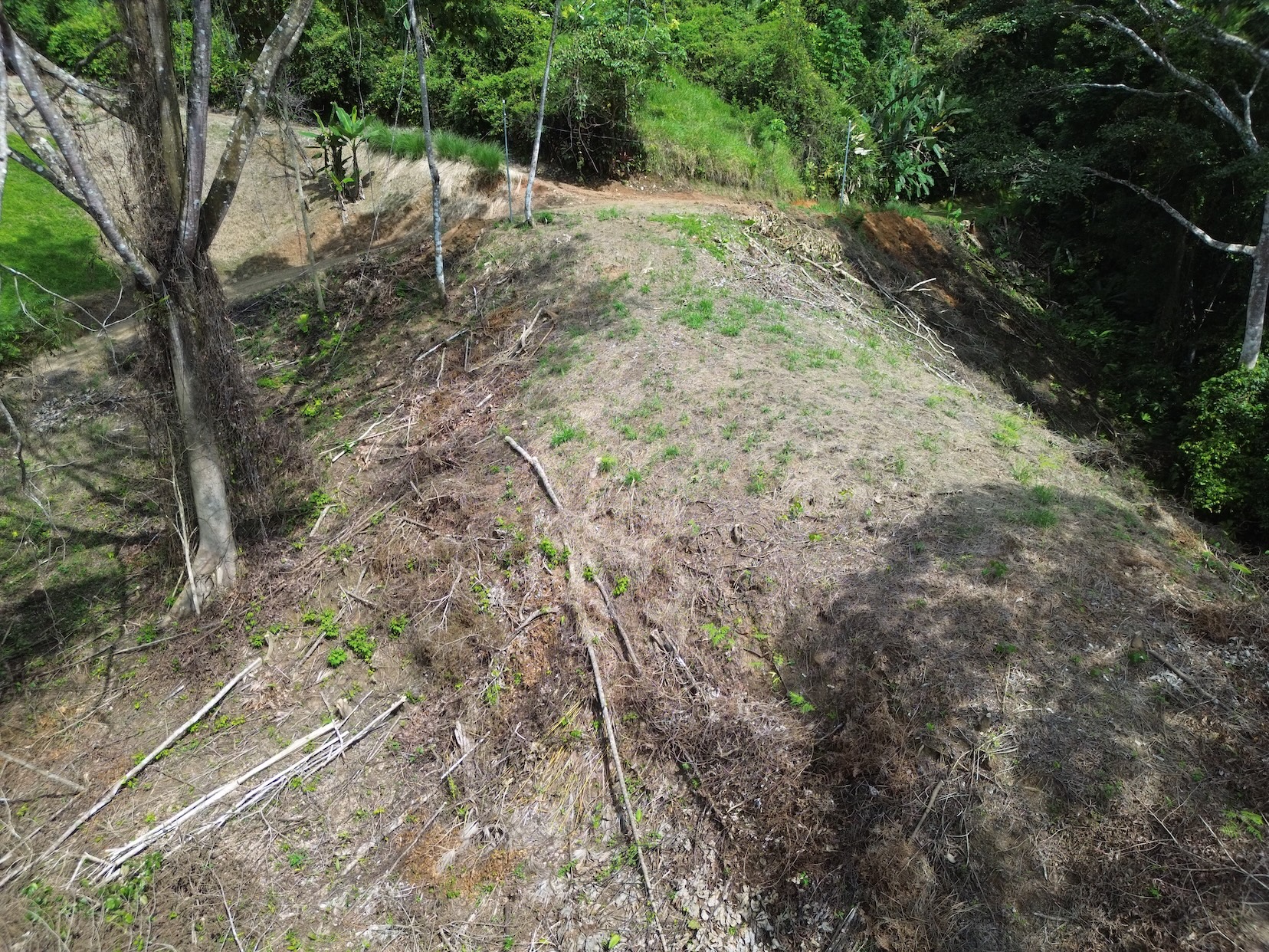 PRIVATE LAND SURROUNDED BY JUNGLE BETWEEN UVITA AND OJOCHAL – 3.07 ACRES