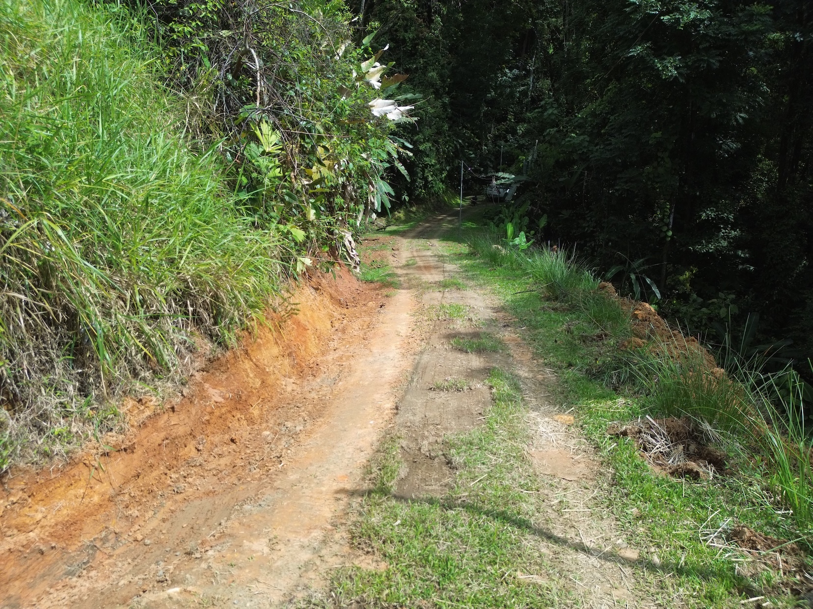 PRIVATE LAND SURROUNDED BY JUNGLE BETWEEN UVITA AND OJOCHAL – 3.07 ACRES
