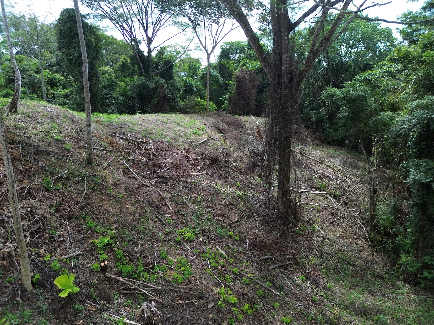 PRIVATE LAND SURROUNDED BY JUNGLE BETWEEN UVITA AND OJOCHAL – 3.07 ACRES