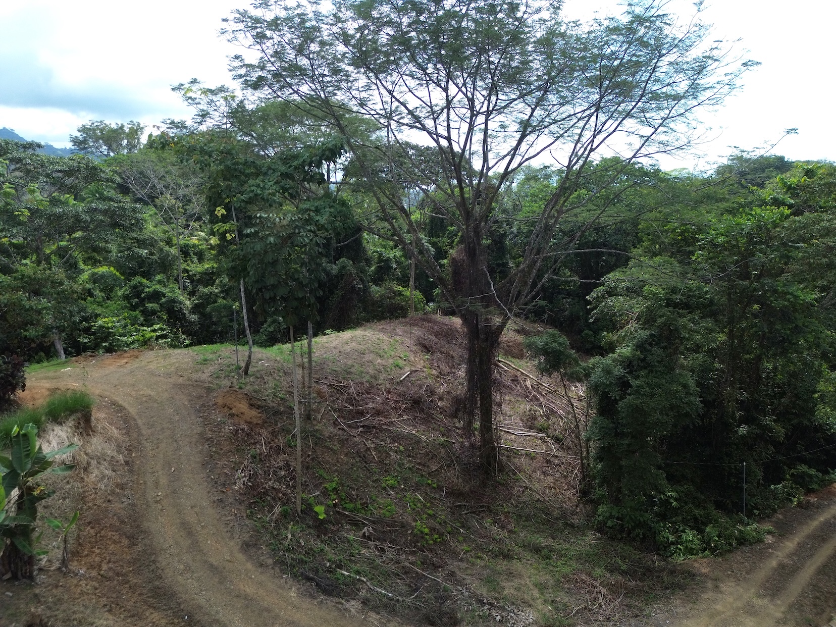 PRIVATE LAND SURROUNDED BY JUNGLE BETWEEN UVITA AND OJOCHAL – 3.07 ACRES
