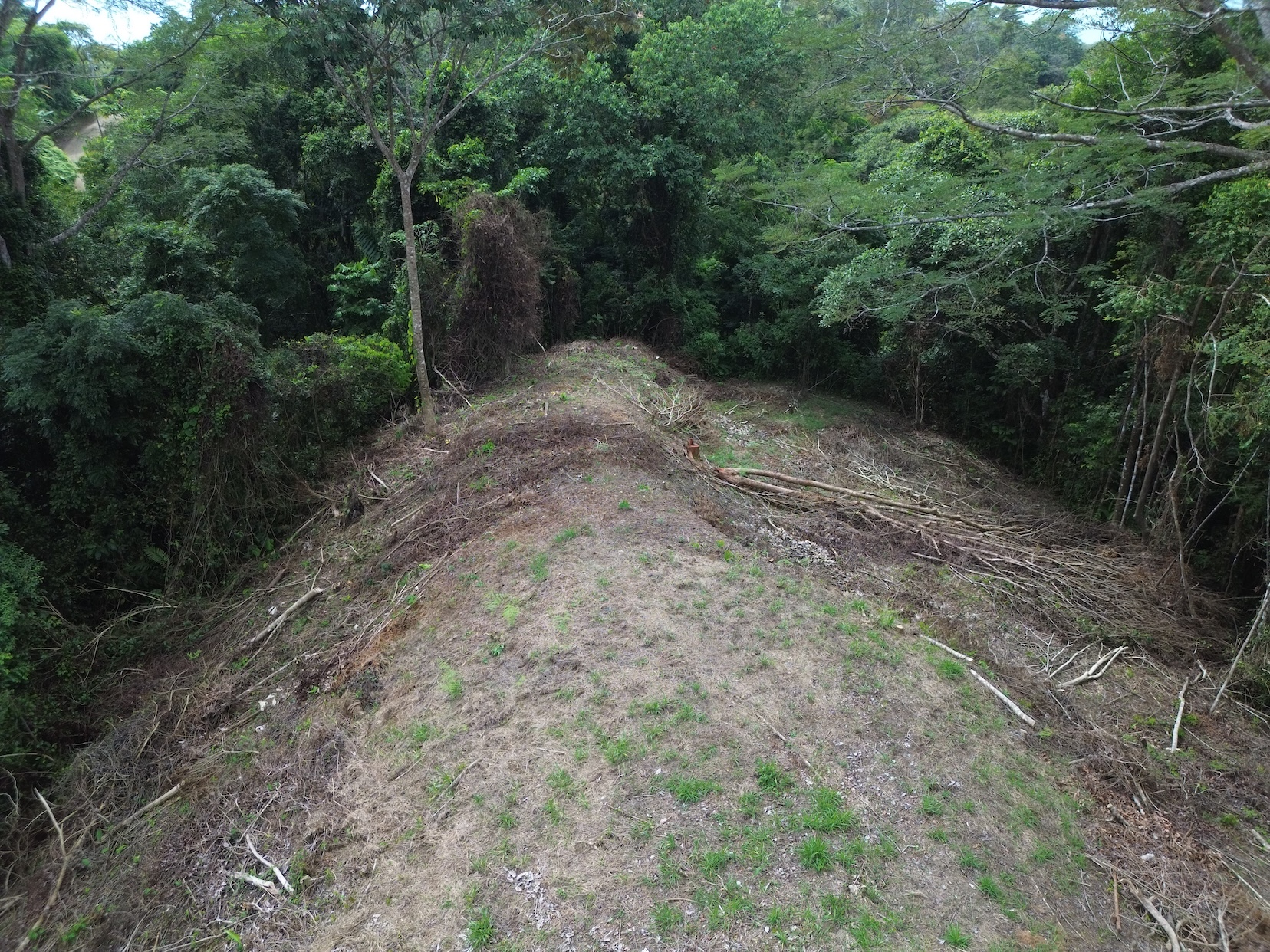 PRIVATE LAND SURROUNDED BY JUNGLE BETWEEN UVITA AND OJOCHAL – 3.07 ACRES