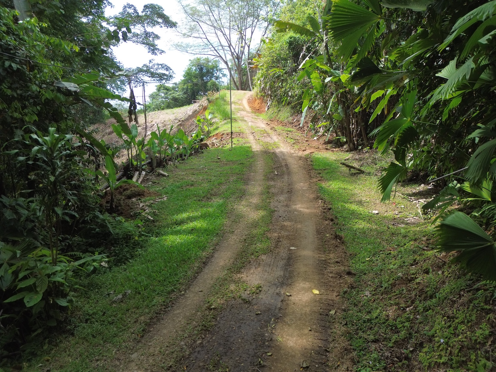 PRIVATE LAND SURROUNDED BY JUNGLE BETWEEN UVITA AND OJOCHAL – 3.07 ACRES
