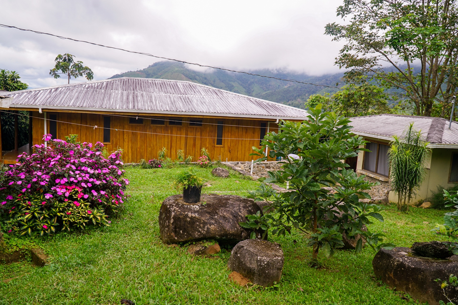 MOUNTAIN ESTATE WITH AGRICULTURAL PRODUCTION AND ECO-FRIENDLY HOUSE, IN ZAPOTAL PEREZ ZELEDON