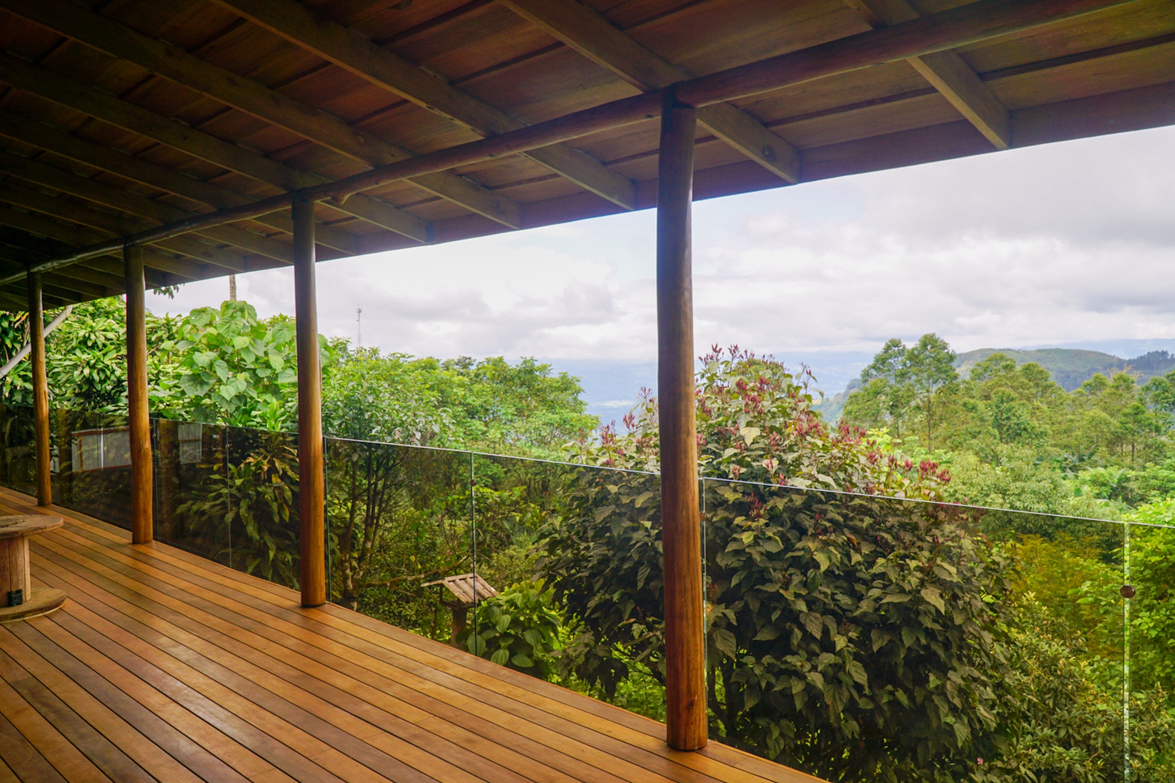MOUNTAIN ESTATE WITH AGRICULTURAL PRODUCTION AND ECO-FRIENDLY HOUSE, IN ZAPOTAL PEREZ ZELEDON
