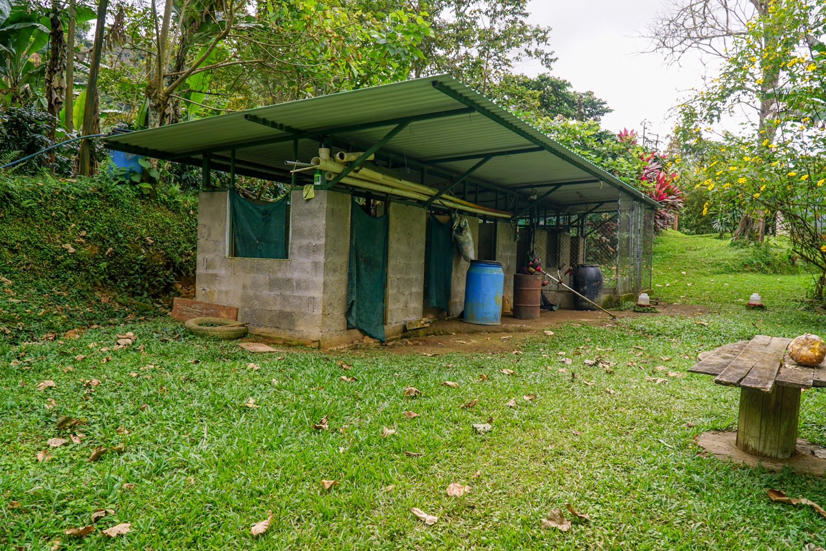 MOUNTAIN ESTATE WITH AGRICULTURAL PRODUCTION AND ECO-FRIENDLY HOUSE, IN ZAPOTAL PEREZ ZELEDON