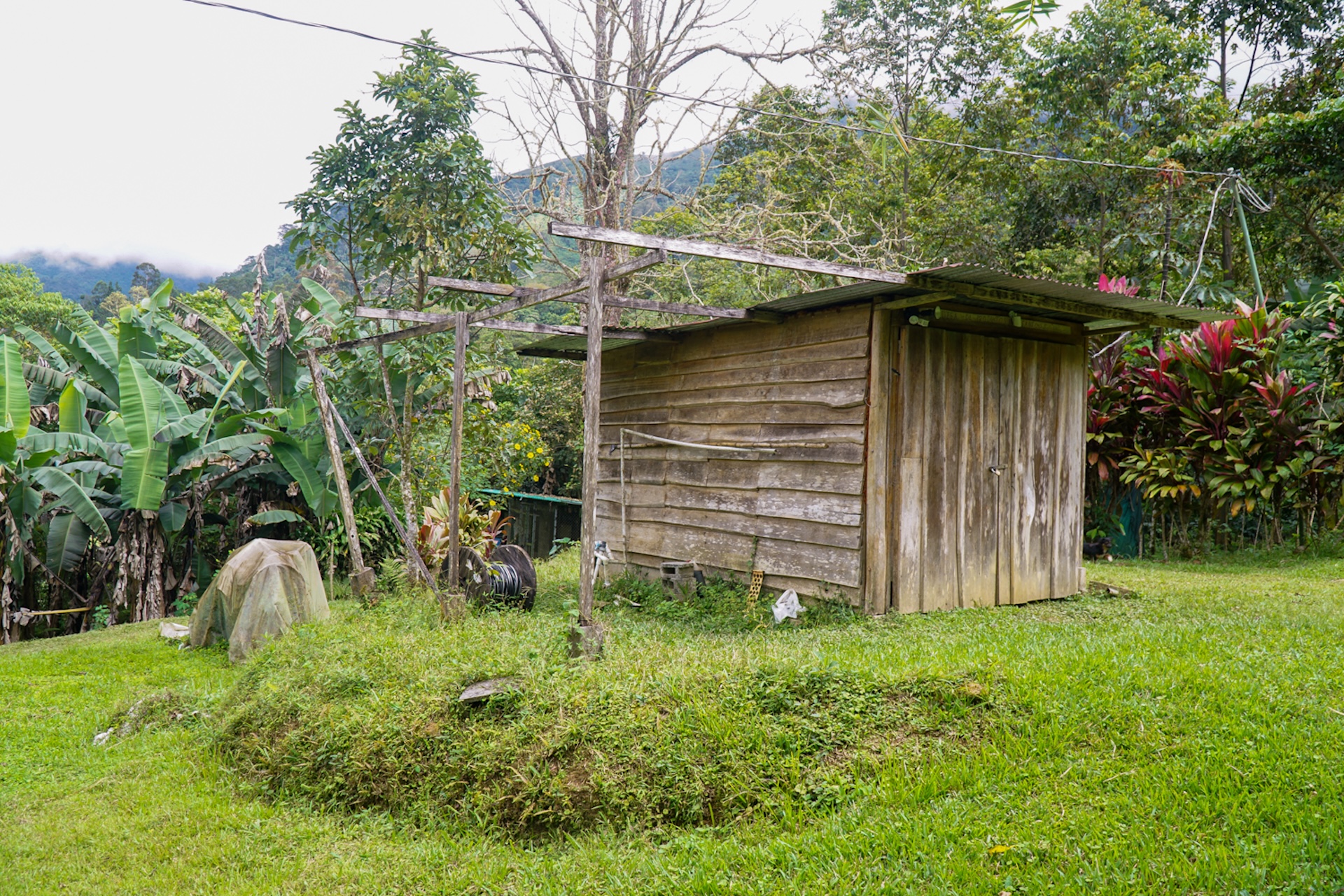 MOUNTAIN ESTATE WITH AGRICULTURAL PRODUCTION AND ECO-FRIENDLY HOUSE, IN ZAPOTAL PEREZ ZELEDON