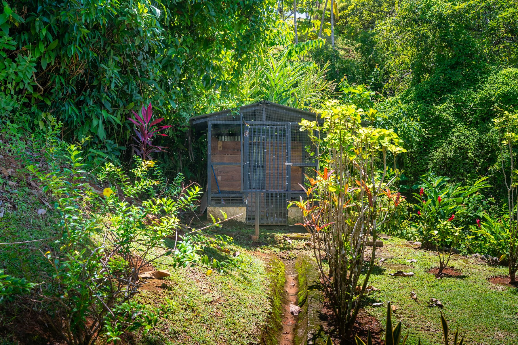 TROPICAL HOME WITH PRIVATE POOL, OCEAN AND MOUNTAIN VIEWS, IN OJOCHAL – 0.80 ACRES