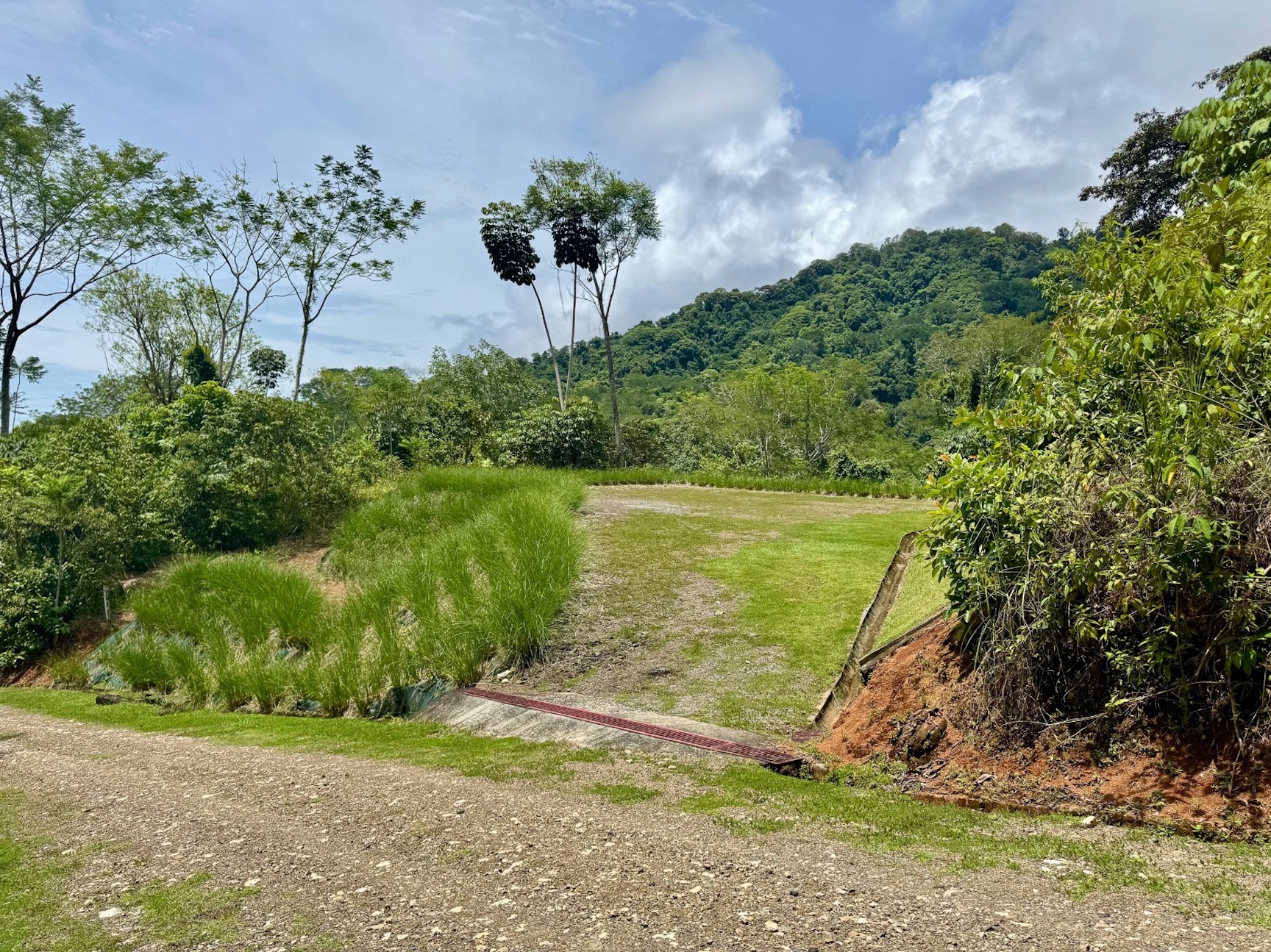 BUILDING PROPERTY WITH MOUNTAIN VIEWS, IN A PRIVATE OJOCHAL COMMUNITY – 0.50 ACRES