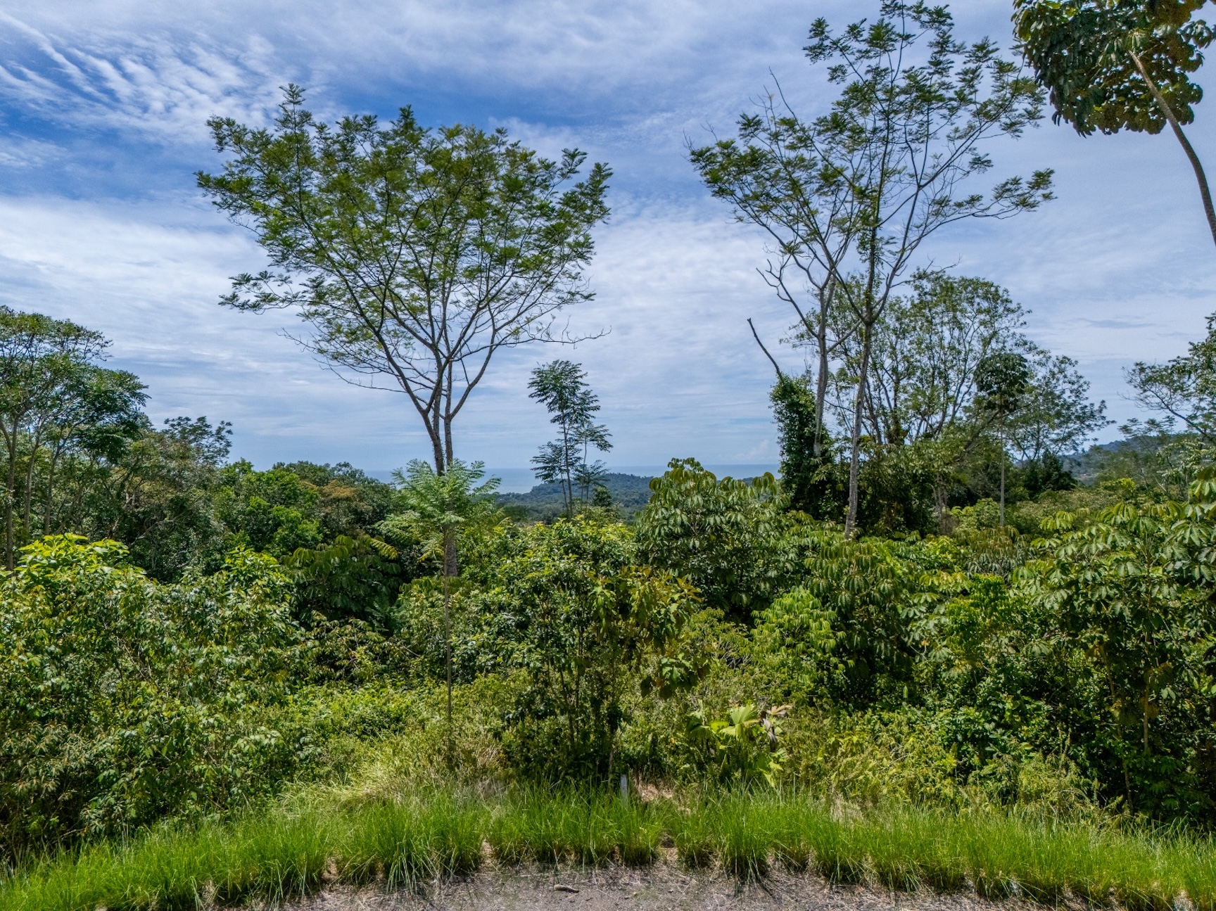 BUILDING PROPERTY WITH MOUNTAIN VIEWS, IN A PRIVATE OJOCHAL COMMUNITY – 0.50 ACRES