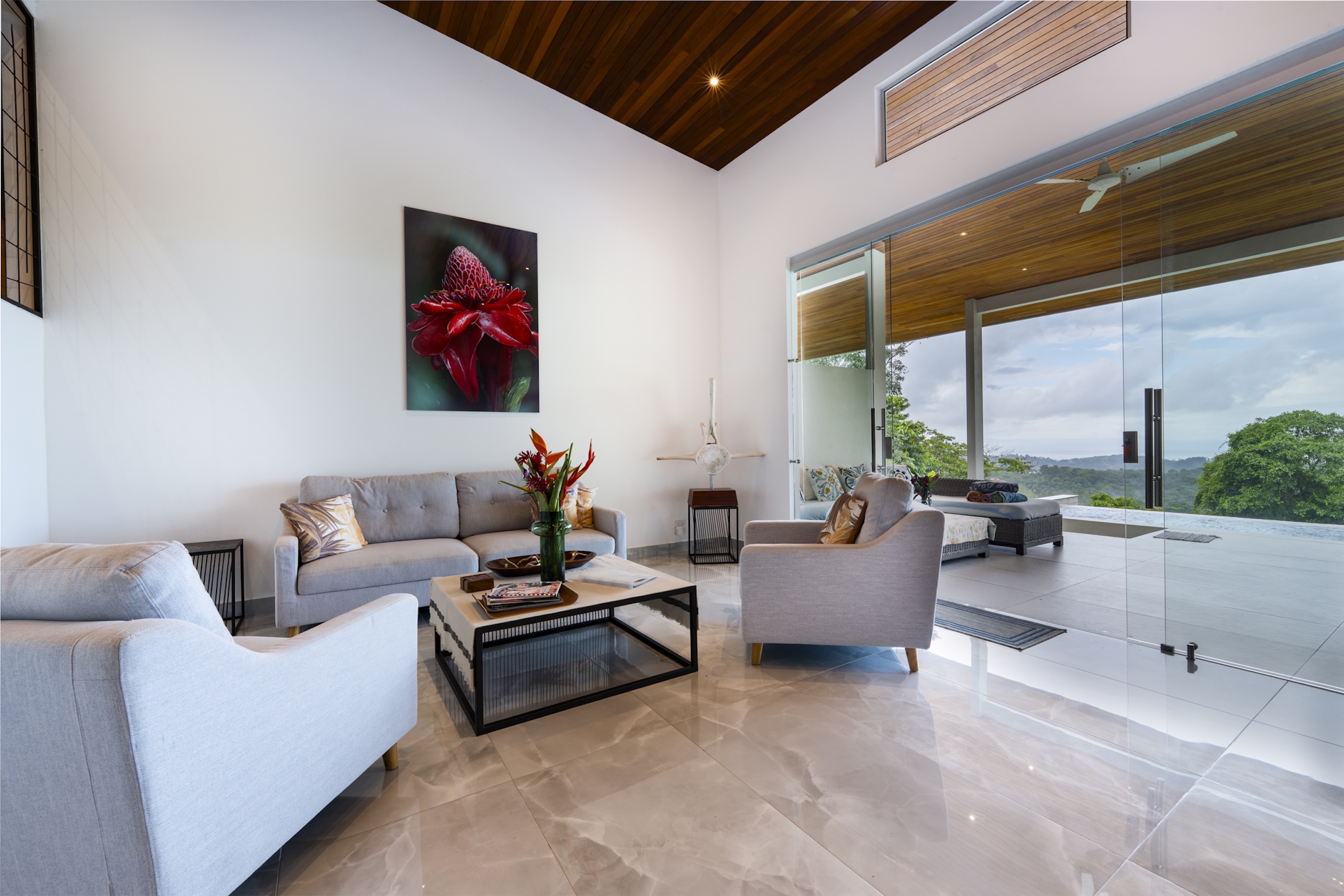 LUXURY VILLA WITH INFINITY POOL, OCEAN VIEWS, AND INVESTMENT POTENTIAL, IN OJOCHAL