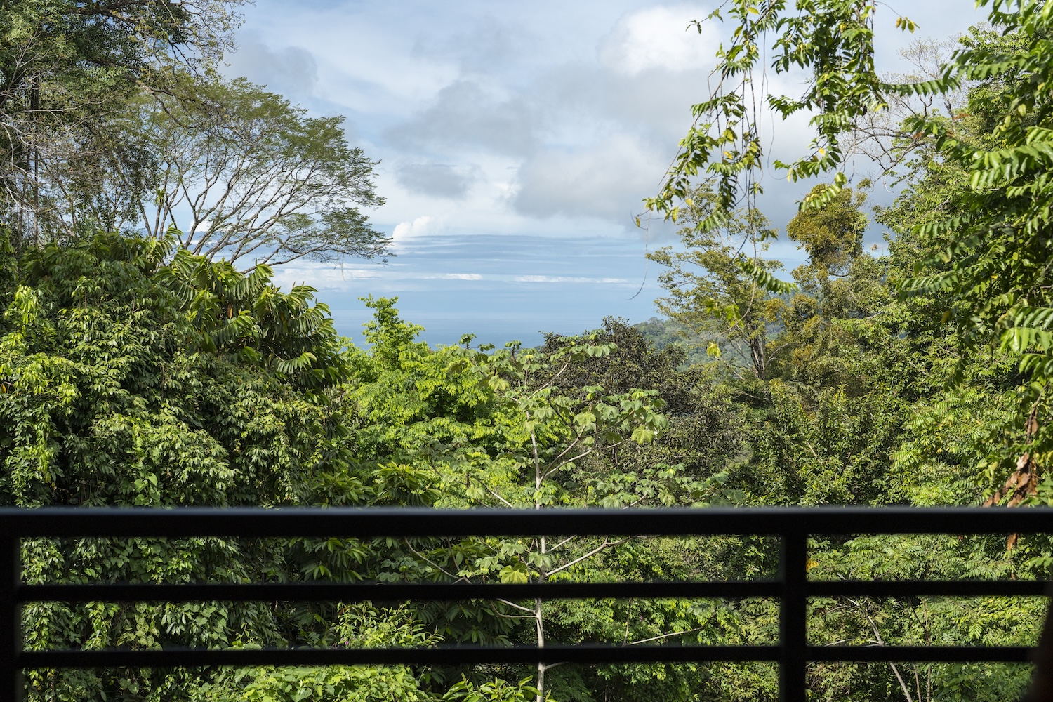 PRIVATE HOME WITH POOL, JUNGLE, AND PANORAMIC PACIFIC VIEWS, IN UVITA – 2.72 ACRES