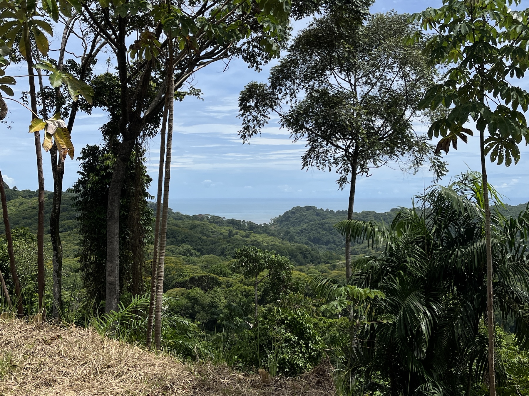 EXCLUSIVE 5.08-ACRE PROPERTY WITH OCEAN AND MOUNTAIN VIEWS, IN PUNTA MALA
