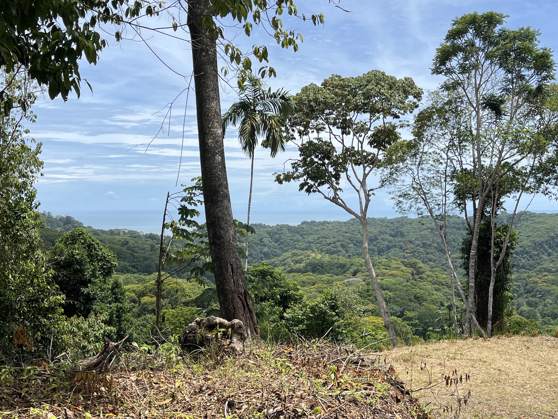EXCLUSIVE 5.08-ACRE PROPERTY WITH OCEAN AND MOUNTAIN VIEWS, IN PUNTA MALA
