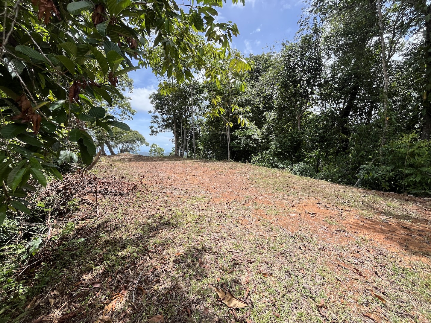 EXCLUSIVE 5.08-ACRE PROPERTY WITH OCEAN AND MOUNTAIN VIEWS, IN PUNTA MALA