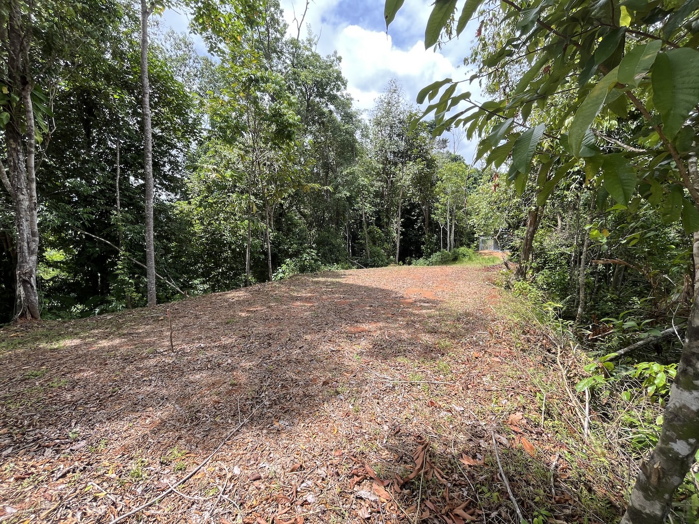 EXCLUSIVE 5.08-ACRE PROPERTY WITH OCEAN AND MOUNTAIN VIEWS, IN PUNTA MALA