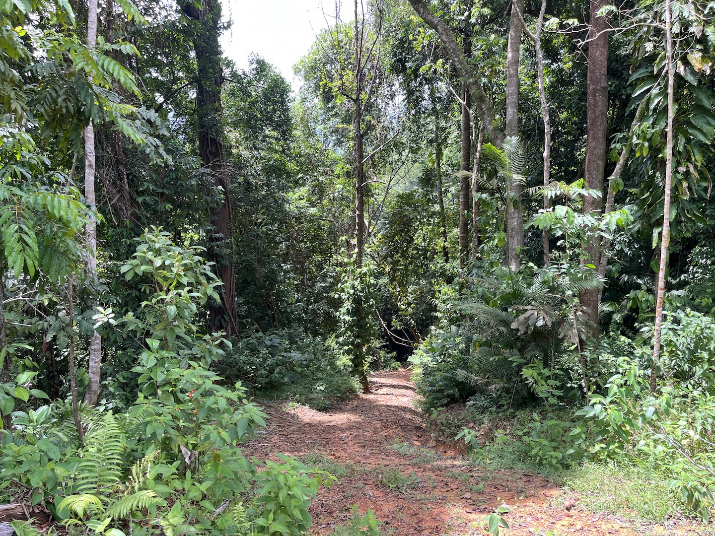 EXCLUSIVE 5.08-ACRE PROPERTY WITH OCEAN AND MOUNTAIN VIEWS, IN PUNTA MALA