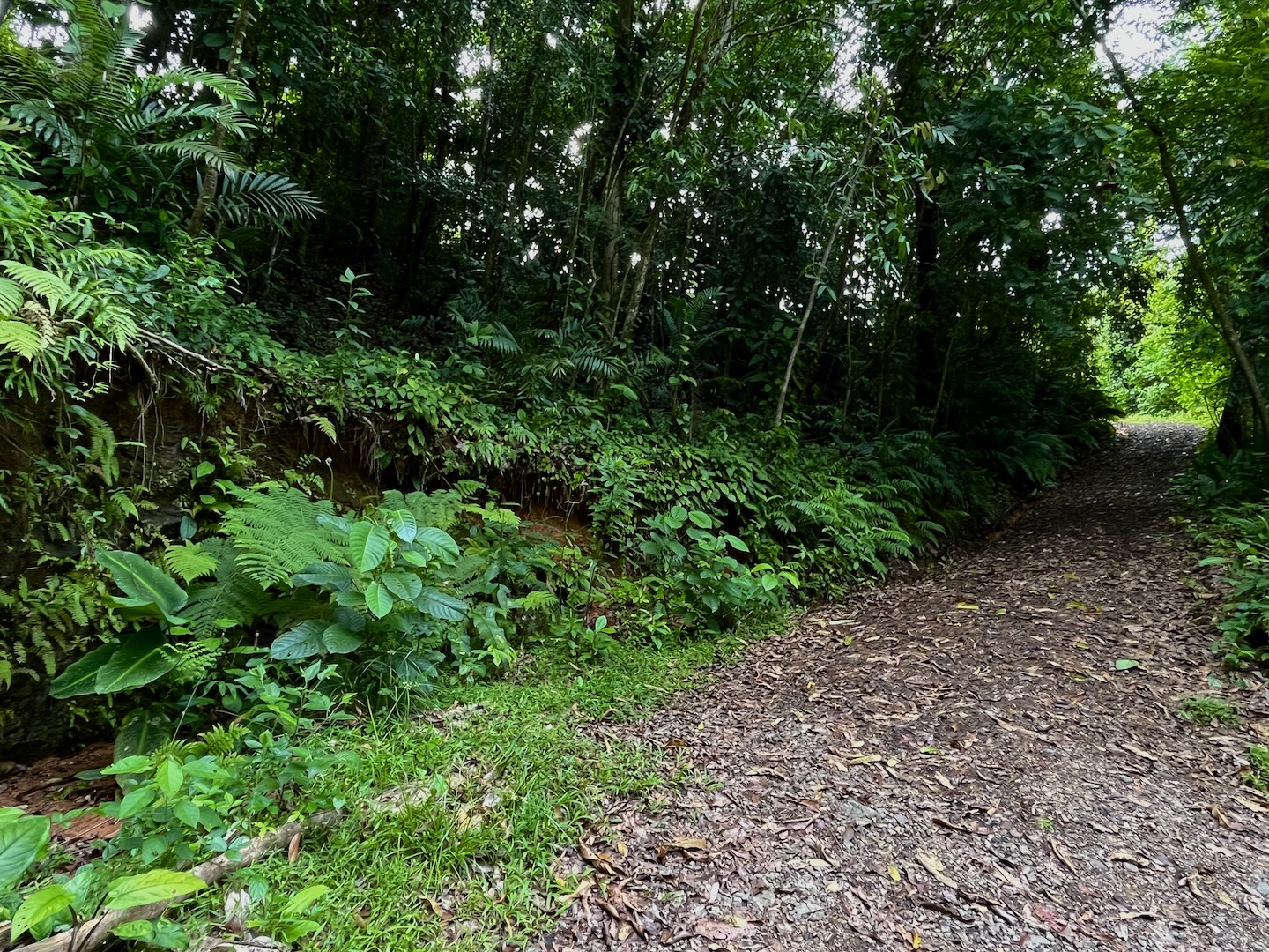 EXCLUSIVE 5.08-ACRE PROPERTY WITH OCEAN AND MOUNTAIN VIEWS, IN PUNTA MALA