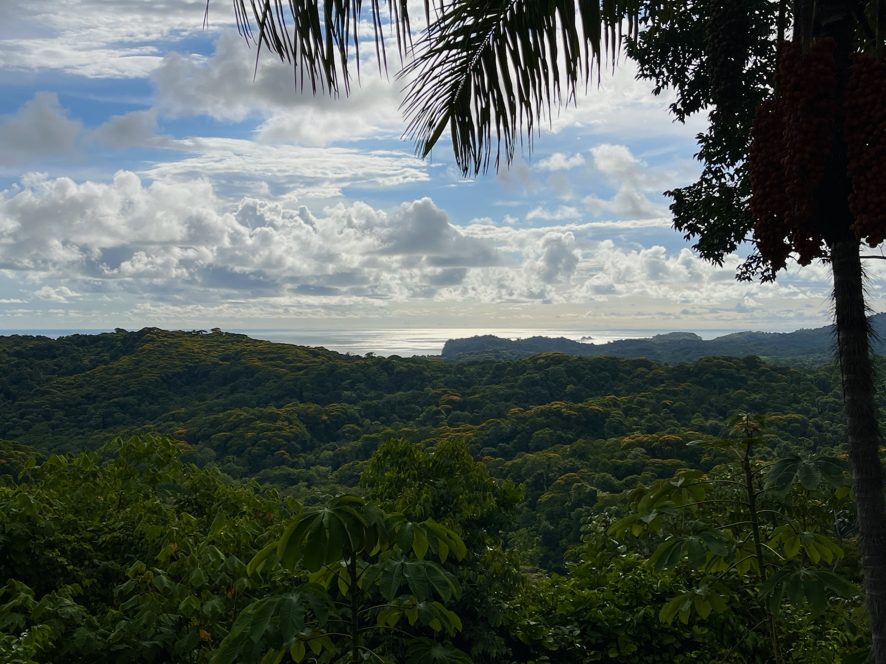 EXCLUSIVE 5.08-ACRE PROPERTY WITH OCEAN AND MOUNTAIN VIEWS, IN PUNTA MALA