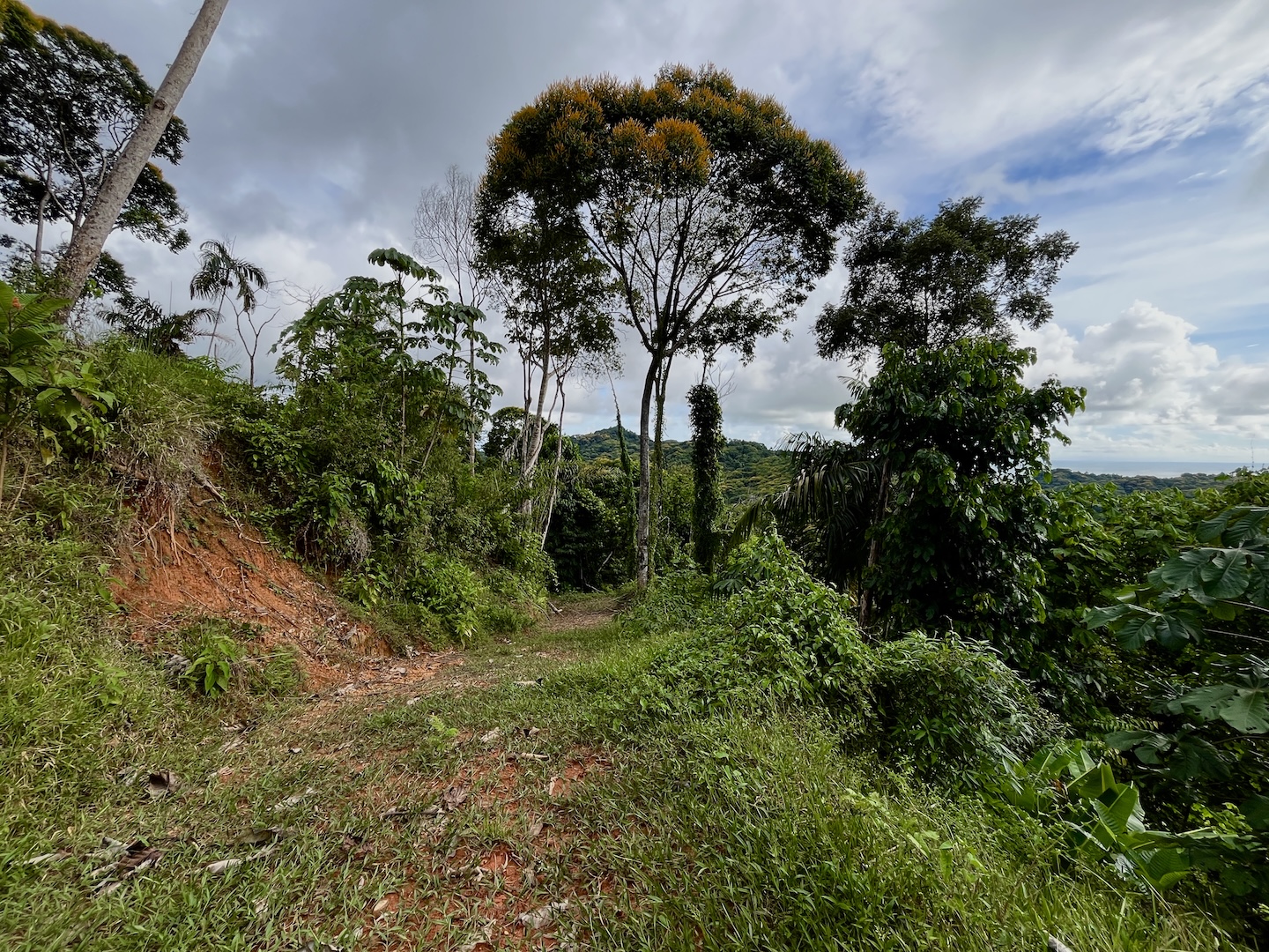 EXCLUSIVE 5.08-ACRE PROPERTY WITH OCEAN AND MOUNTAIN VIEWS, IN PUNTA MALA