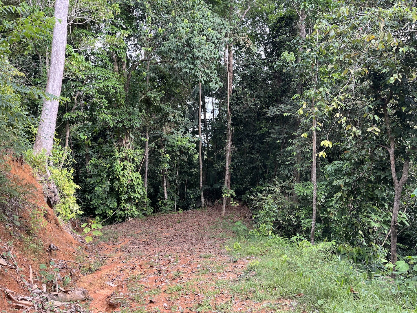 EXCLUSIVE 5.08-ACRE PROPERTY WITH OCEAN AND MOUNTAIN VIEWS, IN PUNTA MALA
