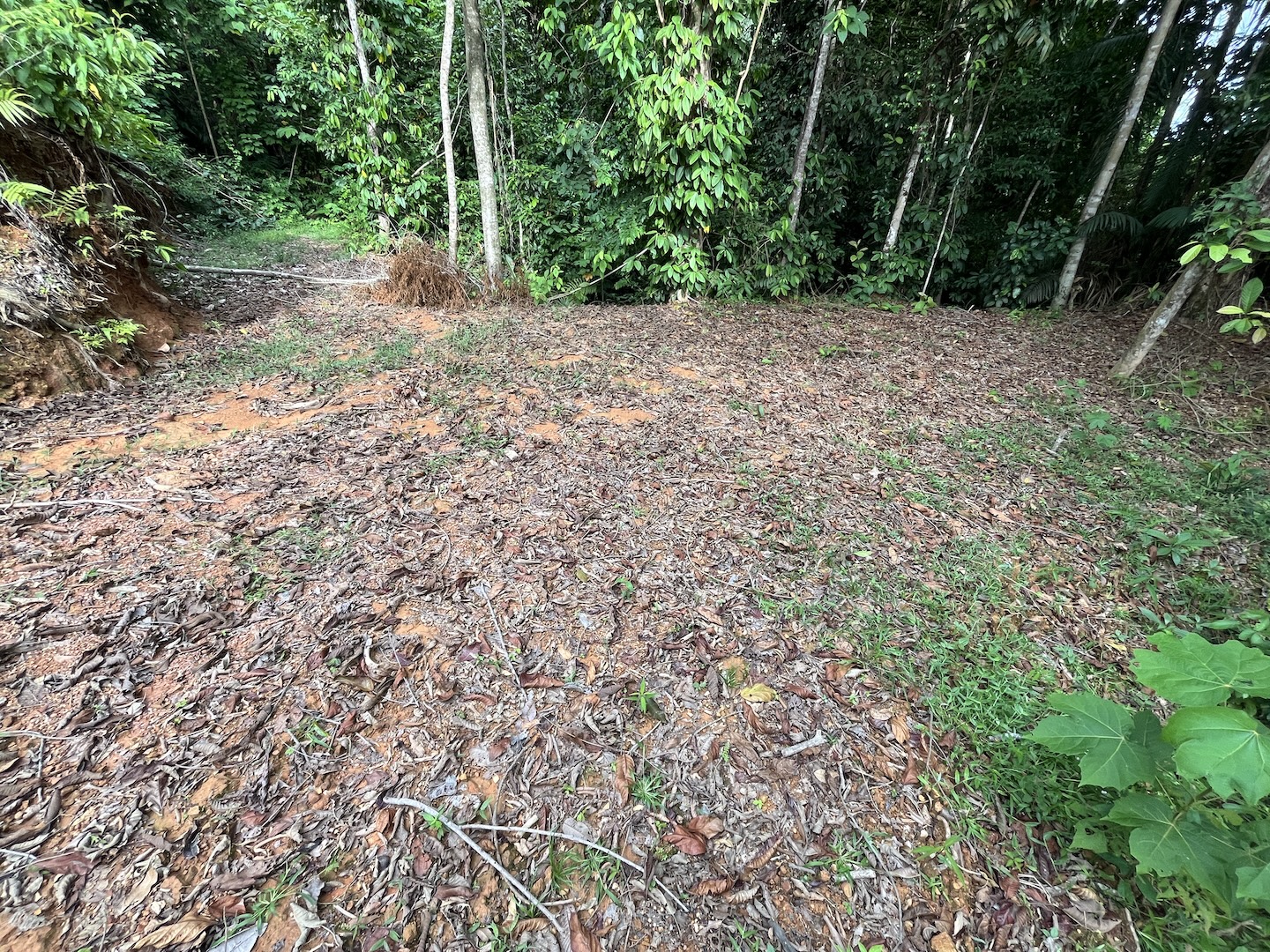 EXCLUSIVE 5.08-ACRE PROPERTY WITH OCEAN AND MOUNTAIN VIEWS, IN PUNTA MALA