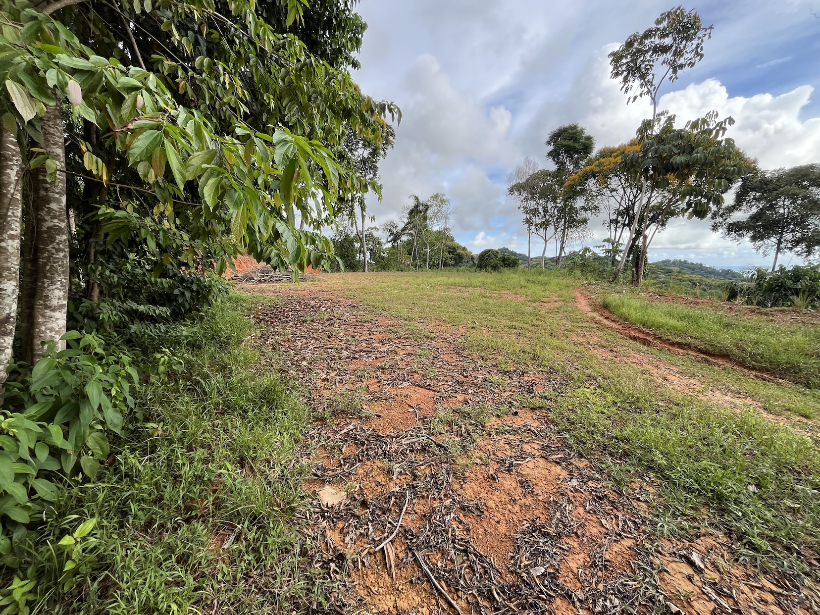EXCLUSIVE 5.08-ACRE PROPERTY WITH OCEAN AND MOUNTAIN VIEWS, IN PUNTA MALA