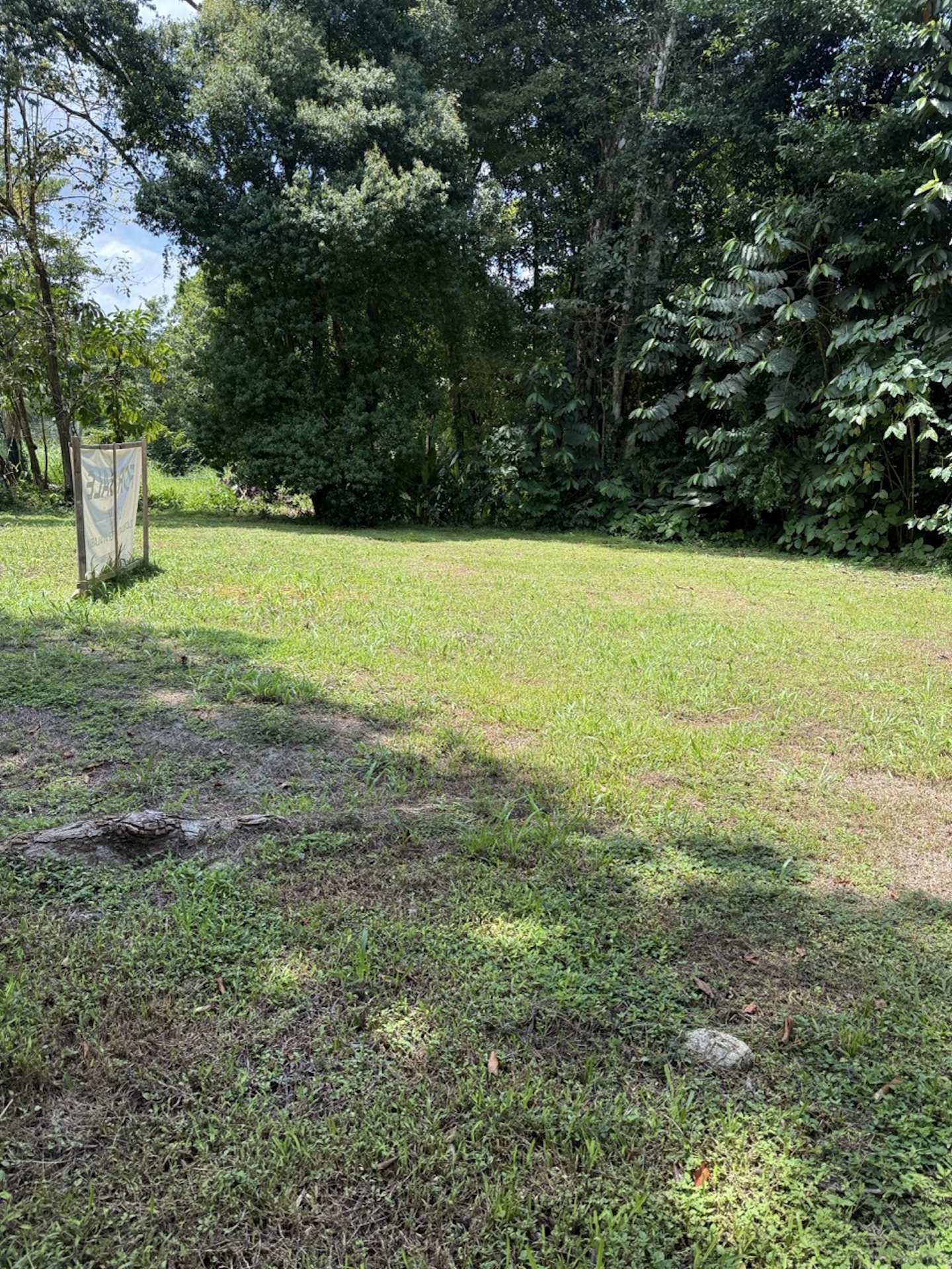 FLAT 1,201 M² PLOT WITH RESIDENTIAL AND COMMERCIAL ZONING, IN OJOCHAL
