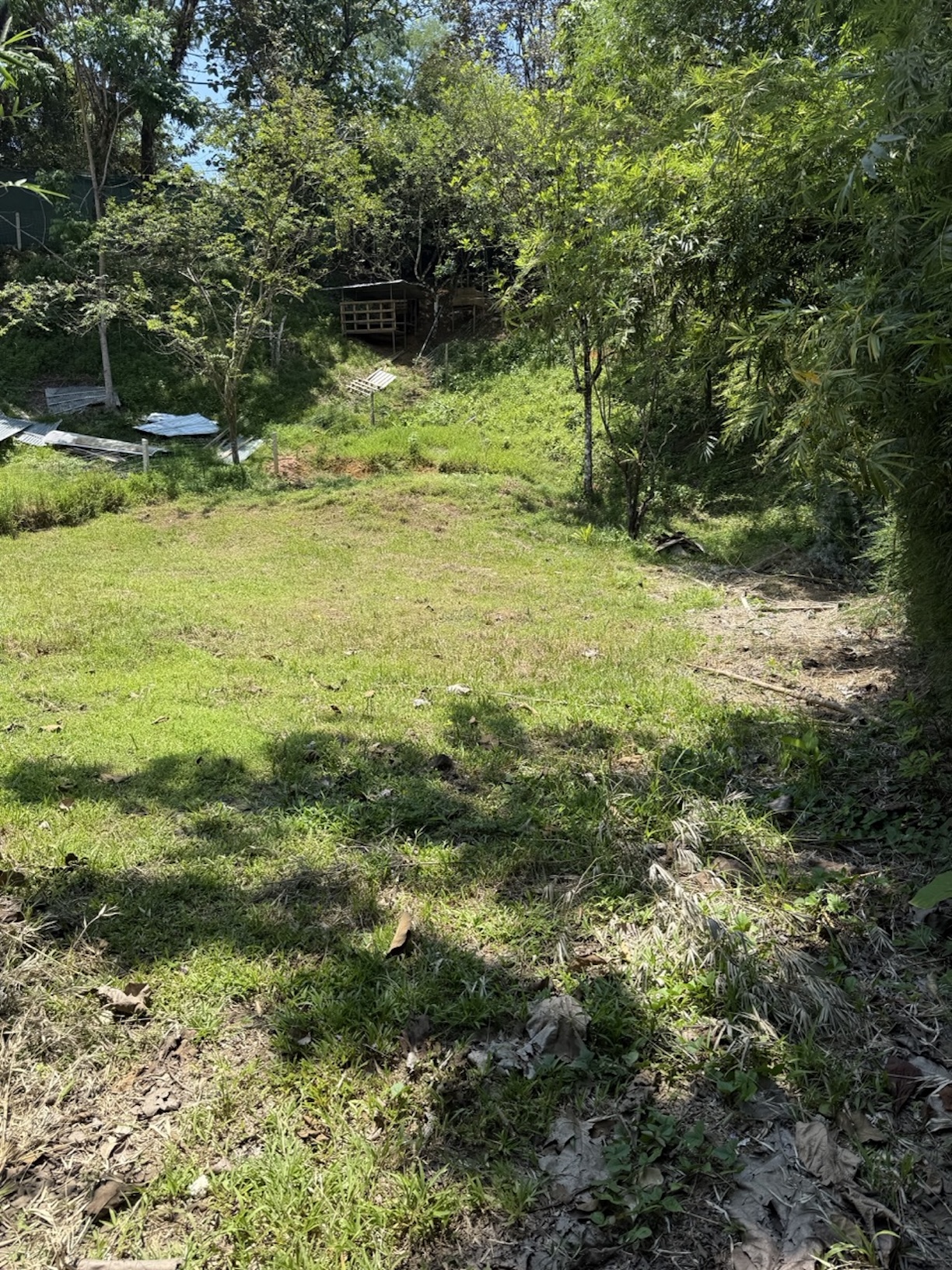 RESIDENTIAL AND COMMERCIAL LAND IN A PRIME LOCATION, IN OJOCHAL