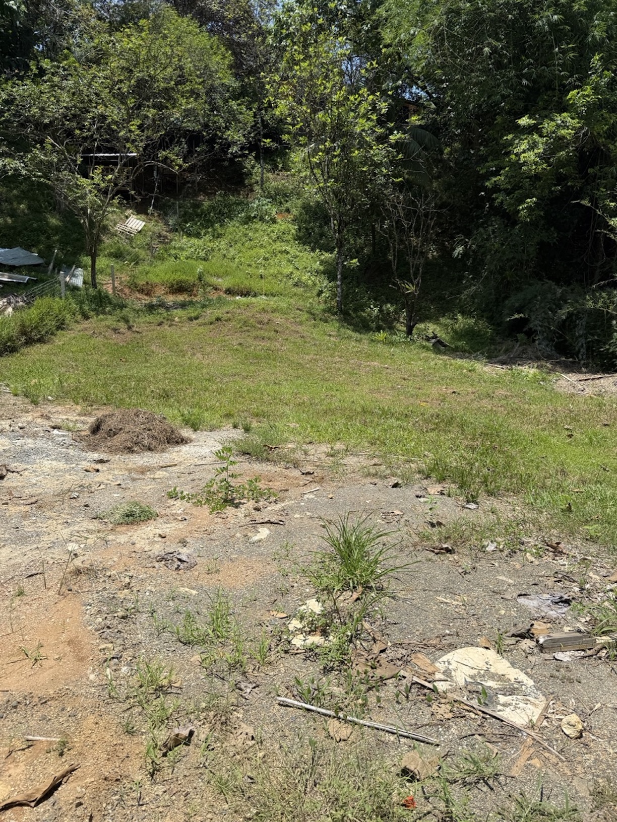 RESIDENTIAL AND COMMERCIAL LAND IN A PRIME LOCATION, IN OJOCHAL