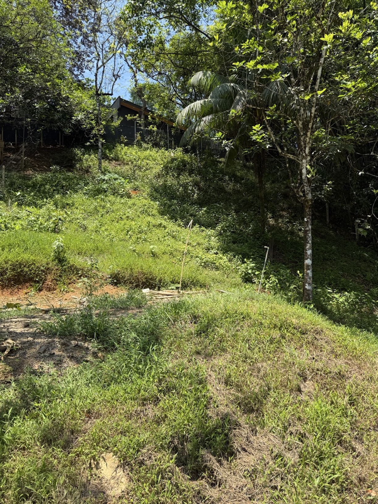 RESIDENTIAL AND COMMERCIAL LAND IN A PRIME LOCATION, IN OJOCHAL