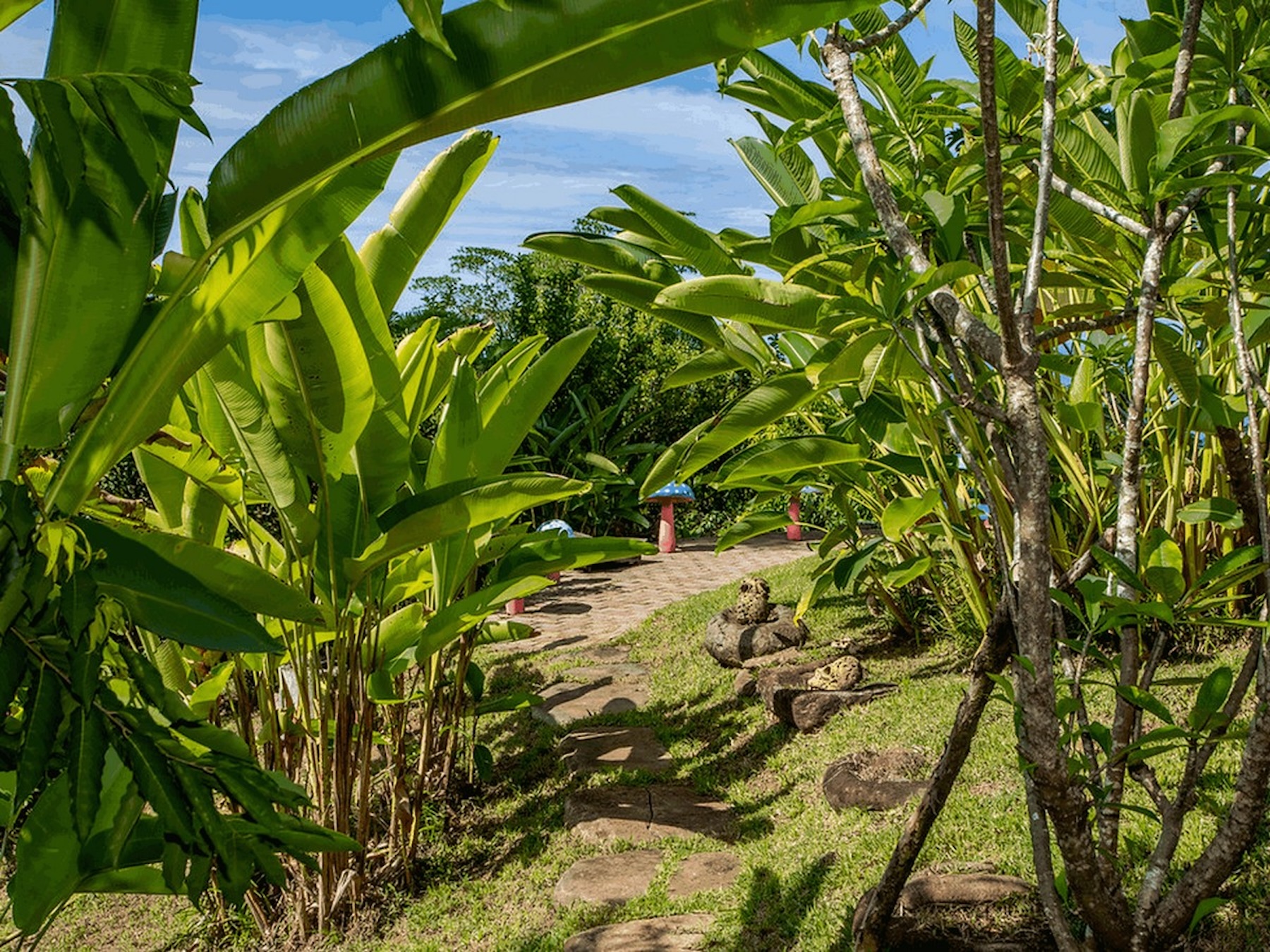 91.2-ACRE PRIVATE ESTATE WITH A MANSION, PANORAMIC OCEAN VIEWS, AND TROPICAL RAINFOREST, IN PLAYA MATAPALO