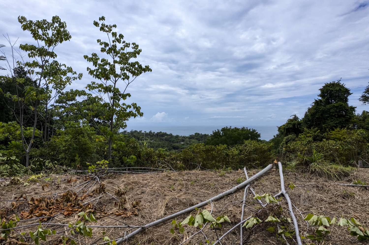 LAND WITH OCEAN VIEWS AND BUILDING POTENTIAL, IN PLAYA HERMOSA – 1.79 ACRES
