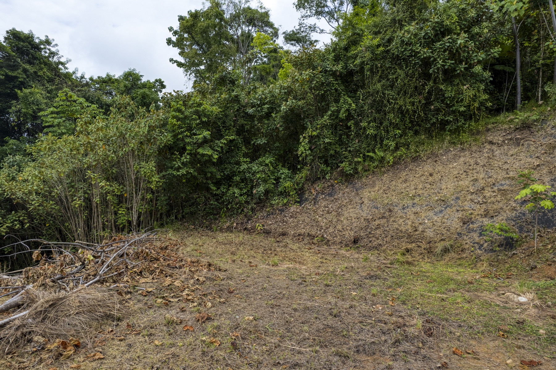 LAND WITH OCEAN VIEWS AND BUILDING POTENTIAL, IN PLAYA HERMOSA – 1.79 ACRES